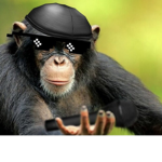 Monke!!!