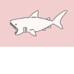 Preppy_Sharks