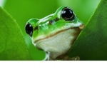 Iiiiiiiik