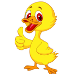 Robloxduck