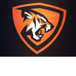 Tigergaming group