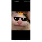 Lukacoolbo