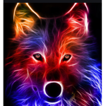 THE COOL WOLF_CLAN