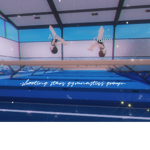 ~shooting stars gymnastics group~