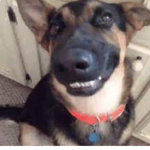 Friend of da wolfy playz