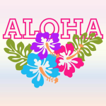 Aloha beach Cherrygirly's closet