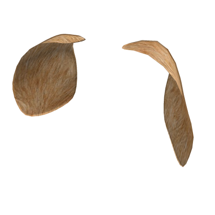 Dog Ears