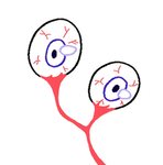 THE EYE UNlON