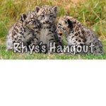 Rhys’s Hangout