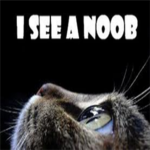 The real Noobs Gang
