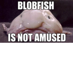 attack on blobs
