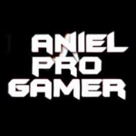 Aniel13 group