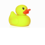 The_ Ducks