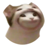 popcat 貓貓集團
