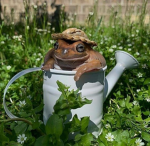 Froggy leap pad