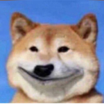 Moonz Noob
