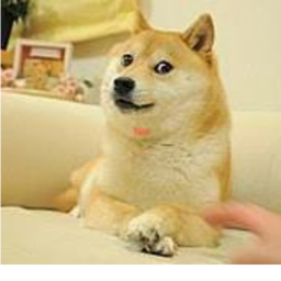 [DOGEAWEEN] Doge Hangout Game 2