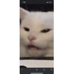 Wolfpackjack10YT group