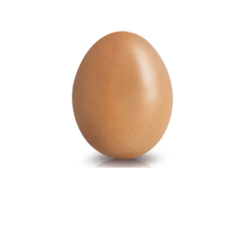egg hangout