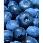 The Magical blueberry's