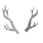 White Iron Antlers