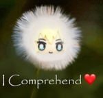 o friendly inc.