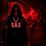 S.A.S Snacth A Soul