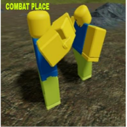 Combat Place