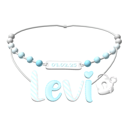 leviAccessory