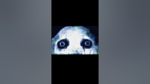crownd's group thing