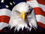 AMERICAAAA