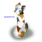 Warrior Cats: DashClan