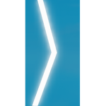 Beta Program