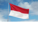 TIM INDONESIA