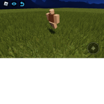 Carl Gods
