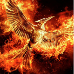 Catching fire fanclub