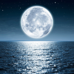 Moon Boaard