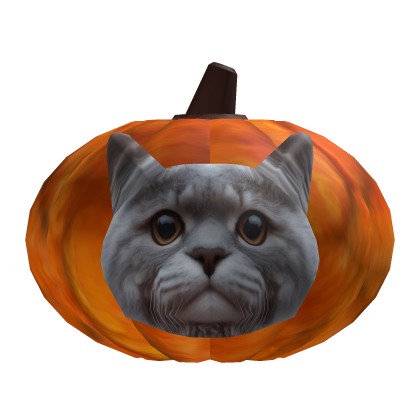 Pumpkin Cat