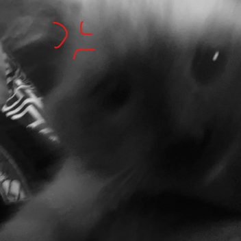 the game i cracked chcoa in