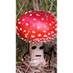 mushroom temple