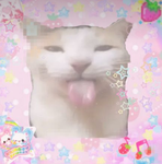 Erna's kitties
