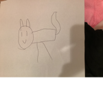 Magic cat group