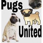 Pugs United.
