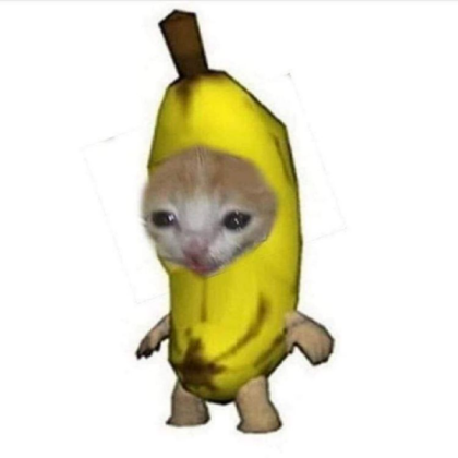 hehe banana cat Roblox decal