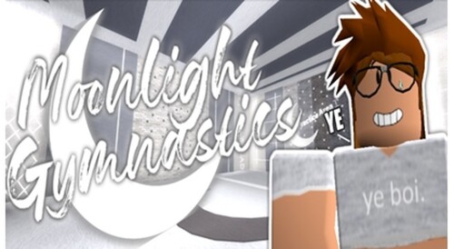 Moonlight's Studio