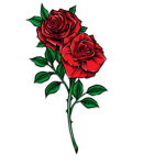 ~+Rose Squad~+