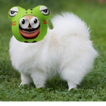 Pomeranians Rule Da World