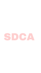 SDCA-dance company!