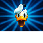 duck squad the group