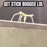 *tHe mEmErS*